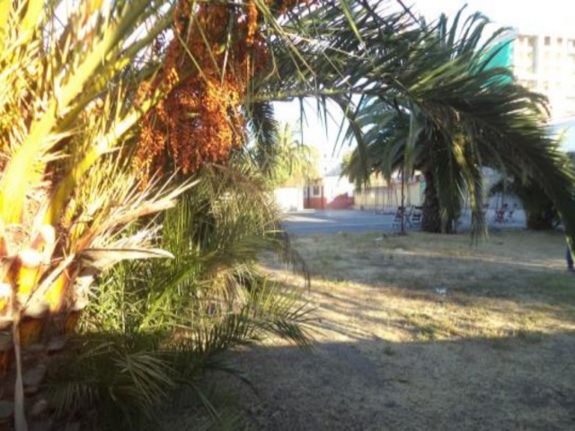 WhatsApp Image 2020-04-27 at 17.00.53.jpeg